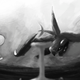 Illustration for article titled Nobody Expected This emPokémon/em To Win The Championship Last Weekend